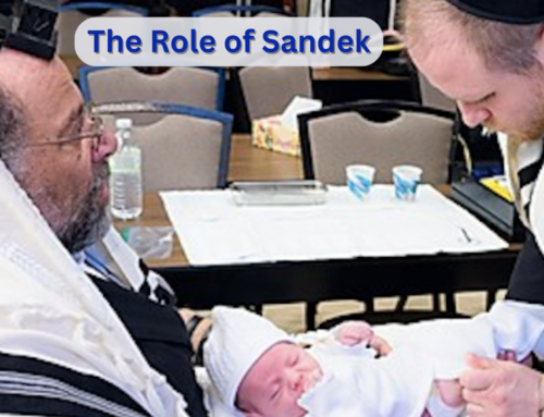 The Role of a Sandek